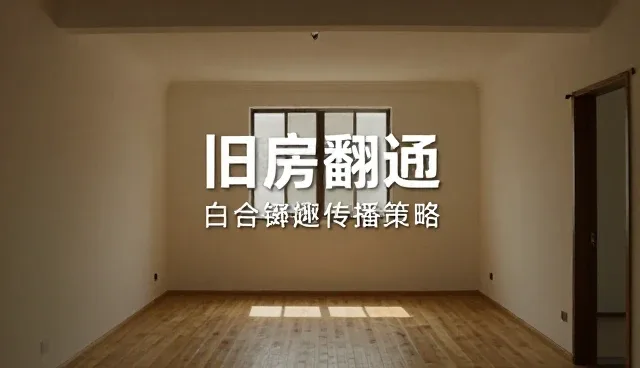 内容传播策略在不同业务场景中的应用与处理方法